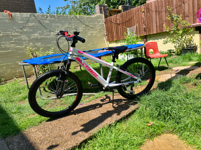 team gx 20 bike